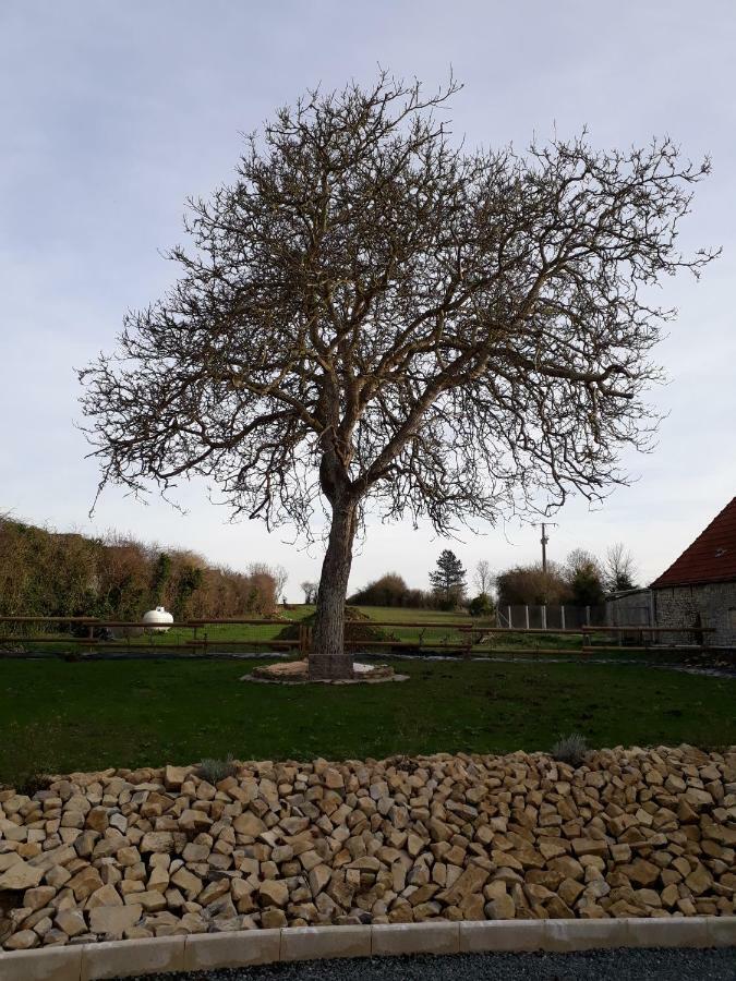 Gite " Le Vieux Noyer" Liesville-sur-Douve Ngoại thất bức ảnh